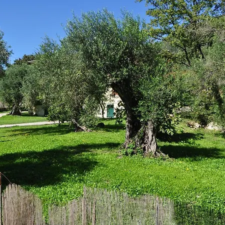 Auberge de jeunesse Comfy Ýpsos
